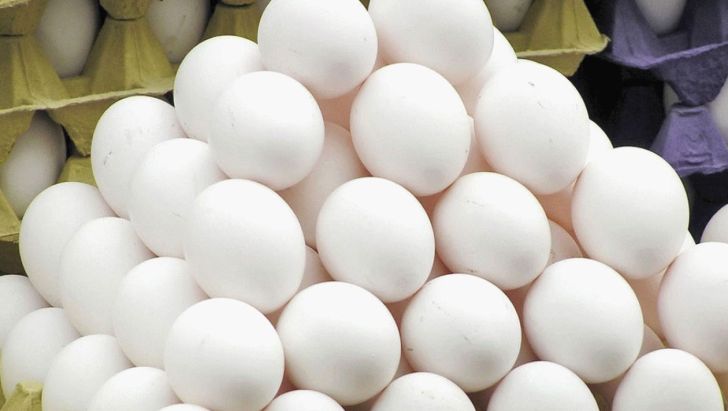 چرا قیمت تخم مرغ دوباره افزایش یافت/ بازارگرمی تولید کنندگان یا بی خبری مسئولان