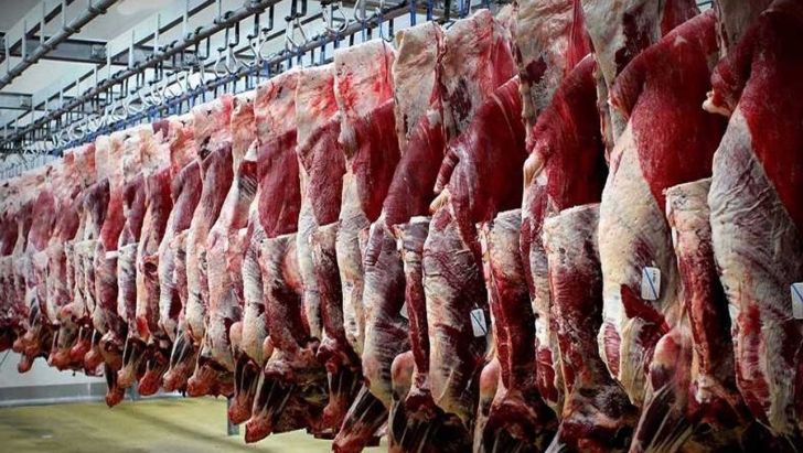 روند کاهشی قیمت گوشت قرمز در بازار
