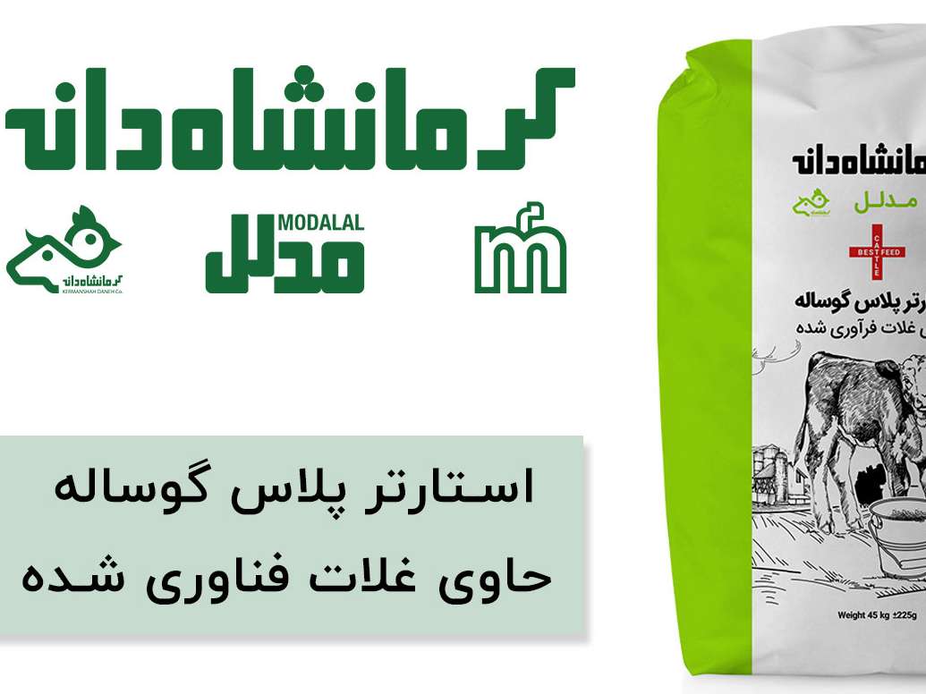 استارتر پلاس گوساله های شیرخوار کرمانشاه دانه