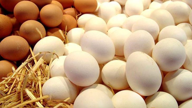  جلوگیری از خروج تخم مرغ قاچاق به عراق