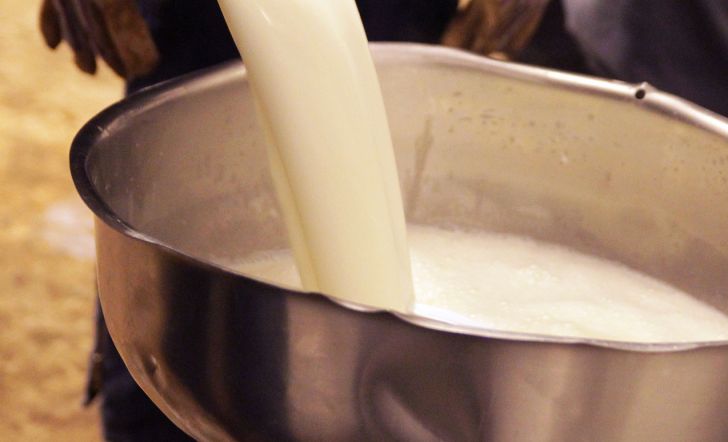  افزایش قیمت شیر خام