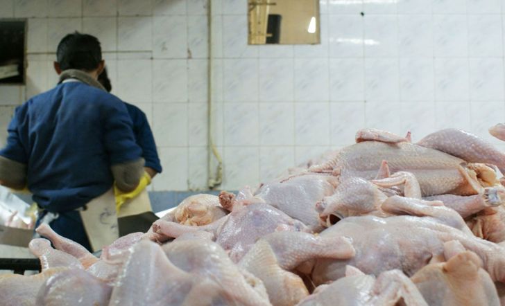  پایین بودن قیمت مرغ علت کمبود در بازار