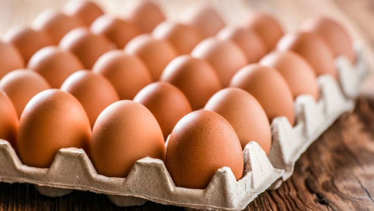 مرغداران خواستار اعلام نرخ جدید تخم مرغ شدند 