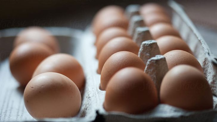 ده تا پانزده درصد قیمت تمام شده تخم مرغ کرایه حمل و نقل است