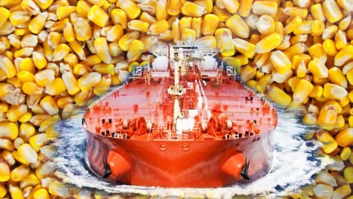 ماجرای واردات نهاده از شرکت آمریکایی «کارگیل»