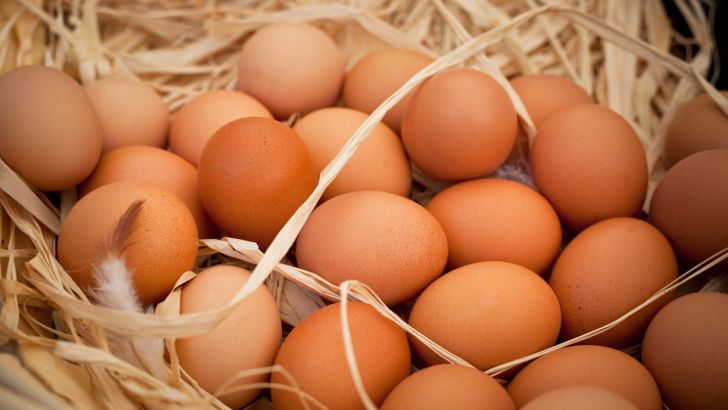 کاهش تولید و افزایش قیمت تخم‌مرغ در بازار مشهد