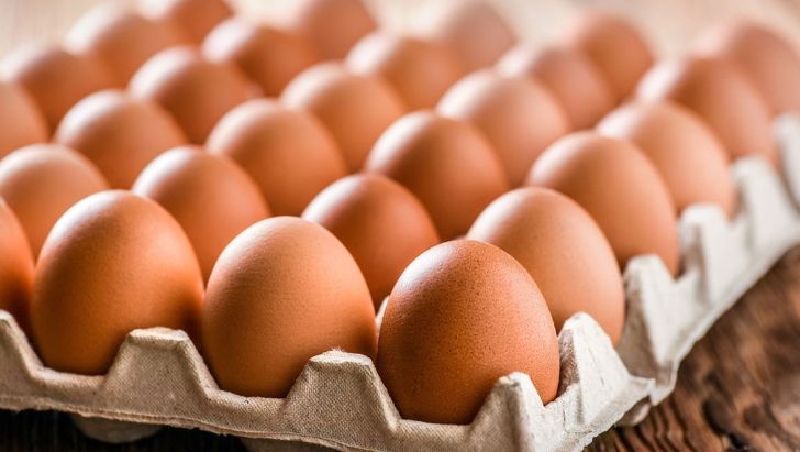 ۵دلیل افزایش قیمت تخم مرغ / مرغداران روزانه بیش از ۱۶میلیارد تومان ضرر می‌ کنند