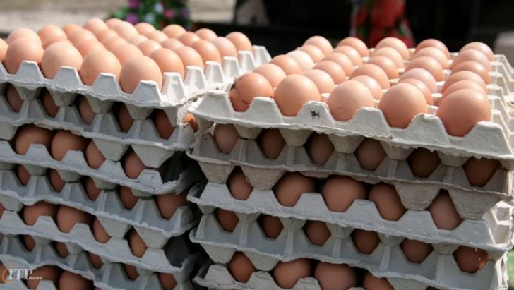 عدم‌تغییر در نرخ مصوب تخم‌مرغ