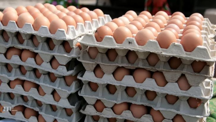 مرغ و تخم مرغ به اندازه کافی وارد کشور شده است