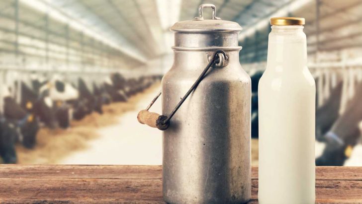 روند افزایش قیمت شیر و ماست در یک سال اخیر