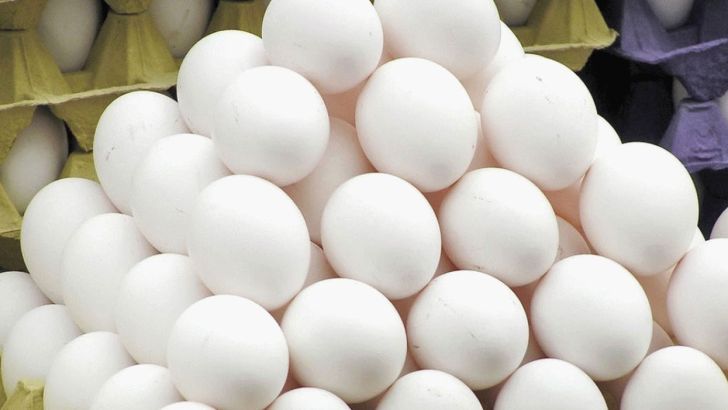 وضعیت قیمتی تخم مرغ در بازار هنوز بلاتکلیف است