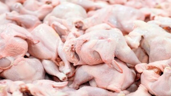 اصلاح قیمت مرغ در راستای افزایش نرخ مؤلفه‌های تولید است