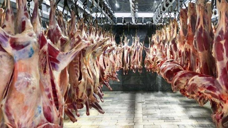 قیمت گوشت افزایش می یابد اگر امروز فکری نکنیم