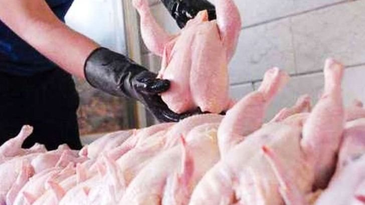 حل مشکل گرانی مرغ در کاهش قیمت نهاده های دامی است