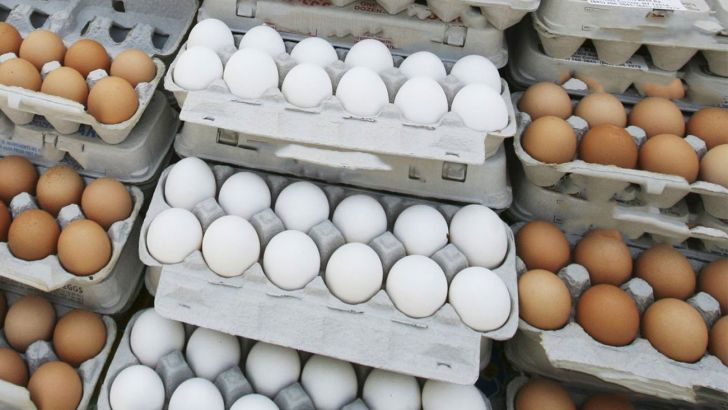 بسته‌بندی، علت کمبود تخم مرغ