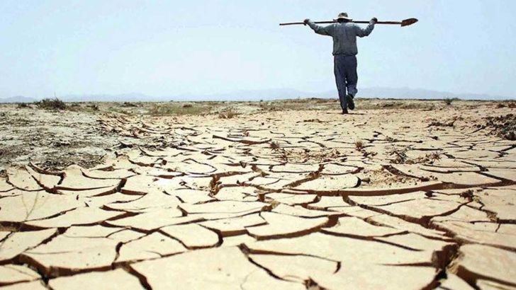 قامت کشاورزی و دامداری خراسان رضوی خمیده در زیر بار سنگین خشکسالی