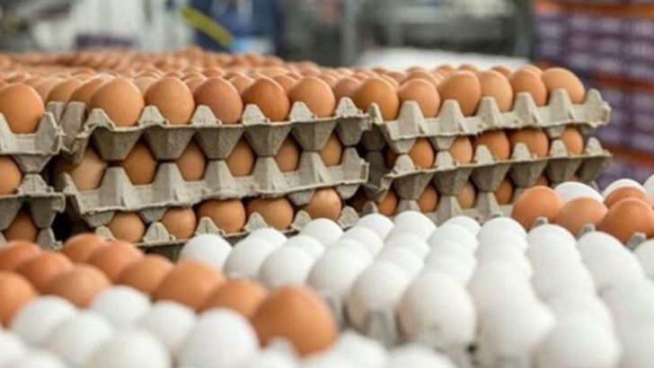  واردات، قیمت تخم‌ مرغ را کاهش داد