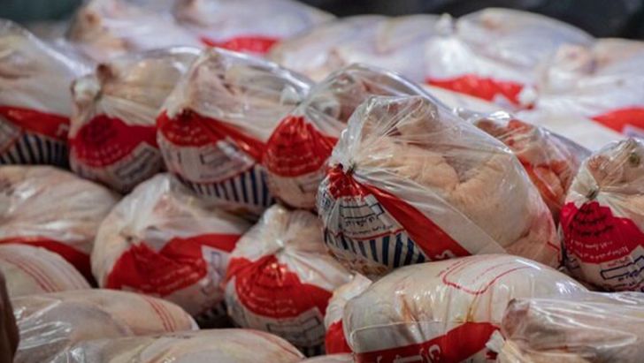 علت اصلی کمبود گوشت مرغ در آذربایجان‌غربی