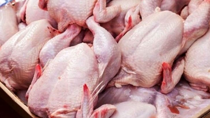 پیش بینی تولید ۲۳ هزار تن مرغ در گلستان 