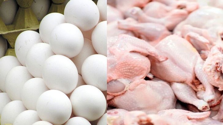 تنظیم بازار مرغ و تخم مرغ بعد از یک سال 