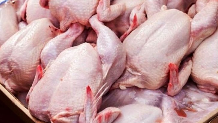 خوزستان در ماه‌های آینده کمبود مرغ نخواهد داشت