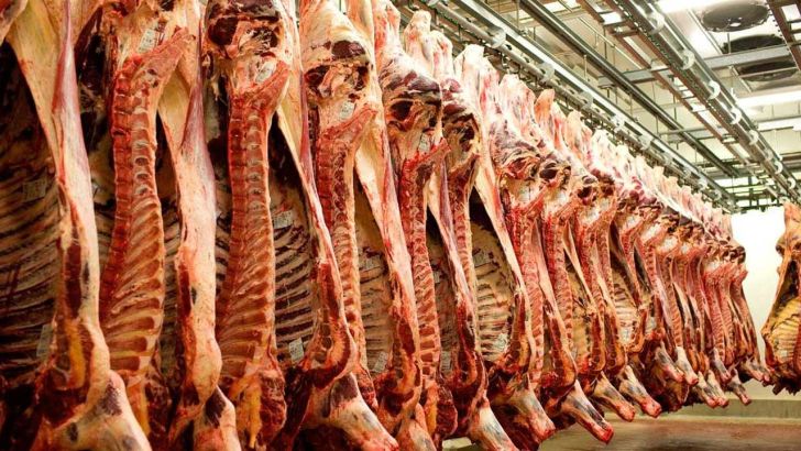 افزایش قیمت گوشت با بی تدبیری در صادرات دام 
