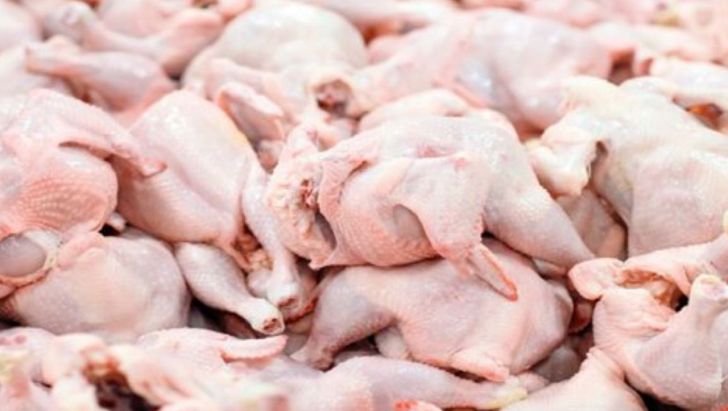 توضیحات رئیس کمیسیون کشاورزی درباره وضعیت بازار مرغ و گوشت و قیمت‌ها
