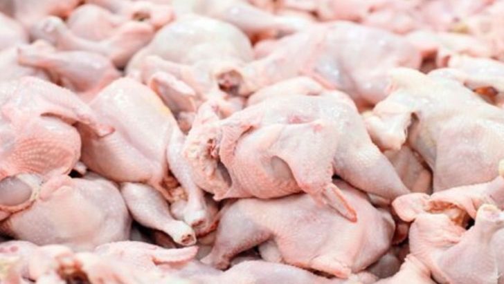 تولید و سهم صادرات گوشت مرغ ایران