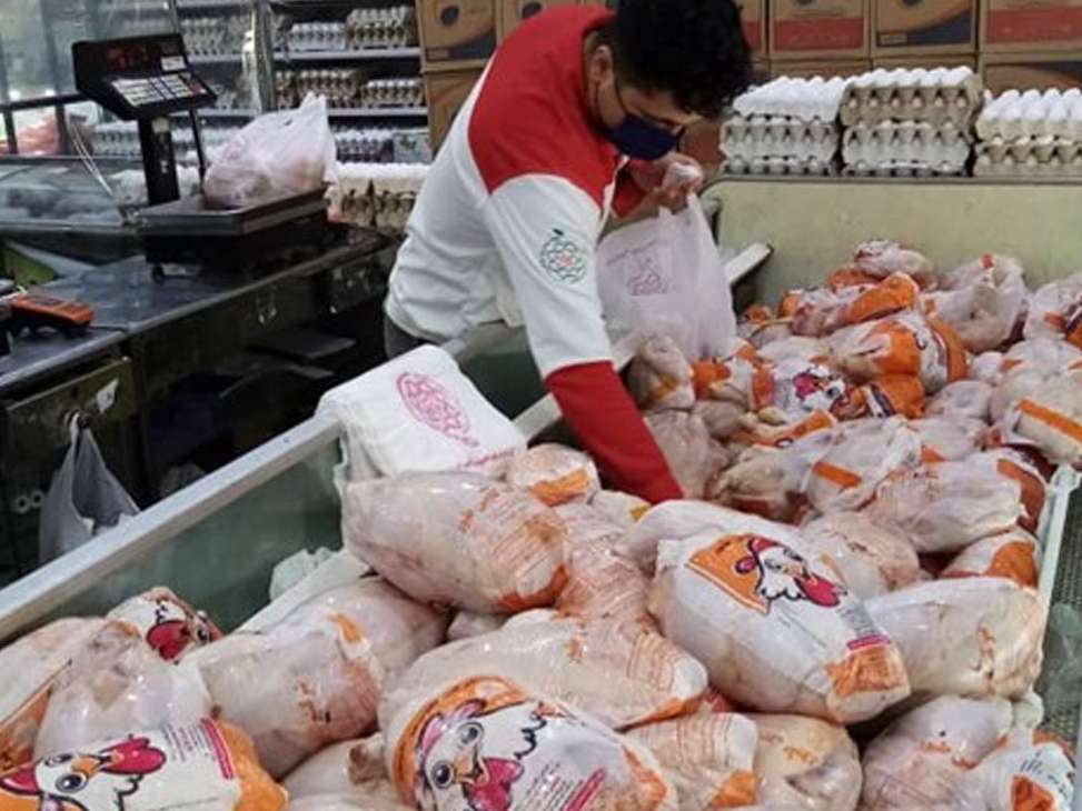 توان صادرات مرغ نادیده گرفته نشود