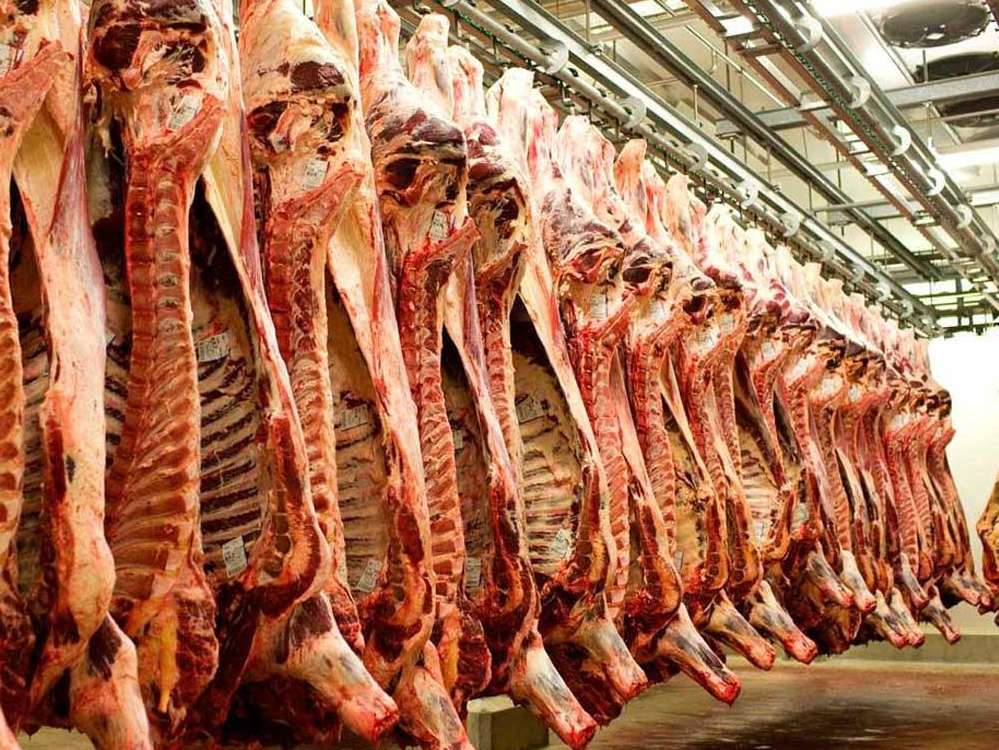 افزایش تولید گوشت قرمز در خراسان رضوی 