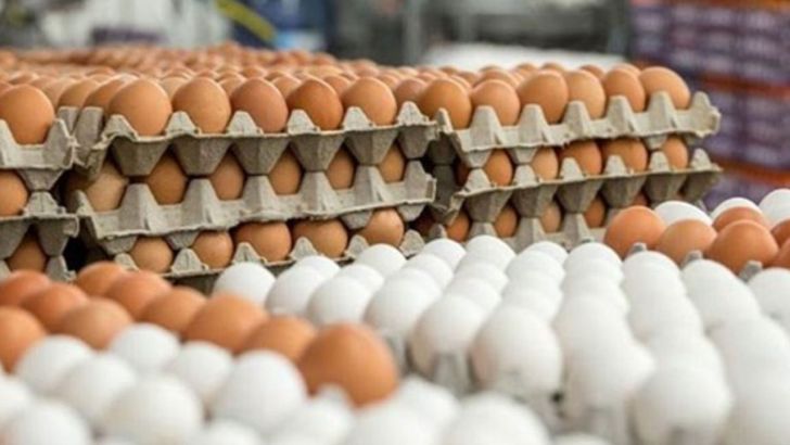 تولید پوشش نگه‌دارنده طبیعی برای افزایش ماندگاری تخم مرغ