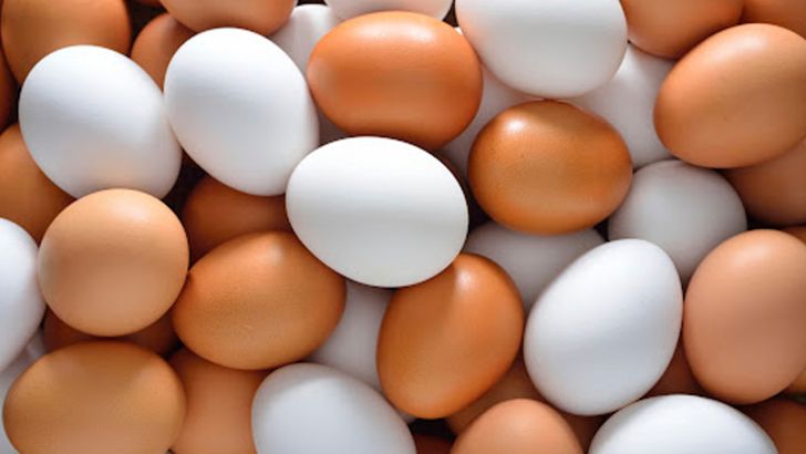افتتاح فاز نهایی اولین و بزرگترین شهرک زنجیره تولید تخم مرغ در کشور