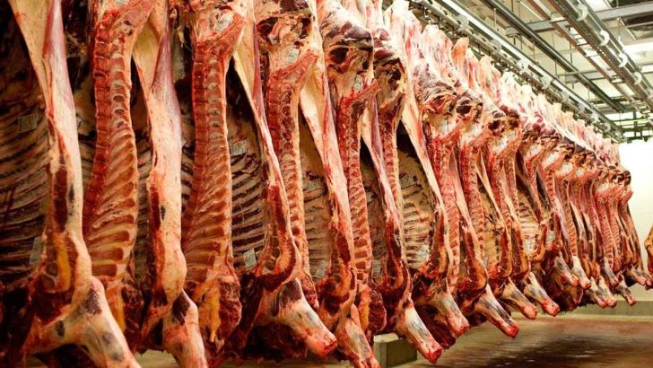 دستور دولت برای واردات گوشت قرمز