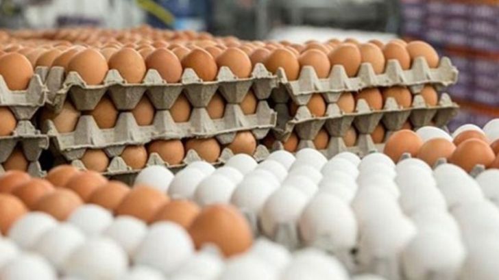 کاهش قیمت تخم‌مرغ 