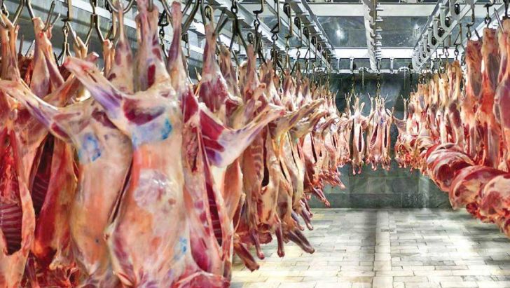 کشتار دام های مولد،  دلایل گرانی گوشت 