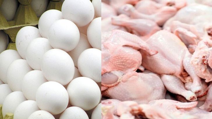 قیمت مرغ و تخم مرغ در بازار استان سمنان کاهش یافت