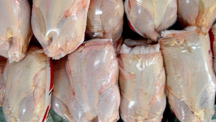قیمت مرغ به ۴ هزار تومان زیر نرخ مصوب کاهش یافت