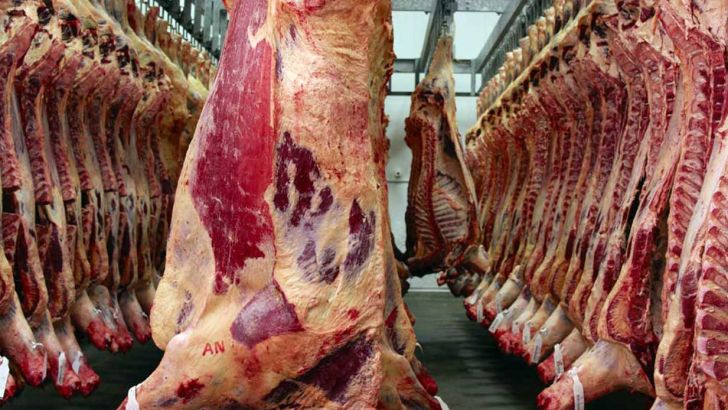 واردات گوشت قرمز گرم از روسیه و پاکستان 