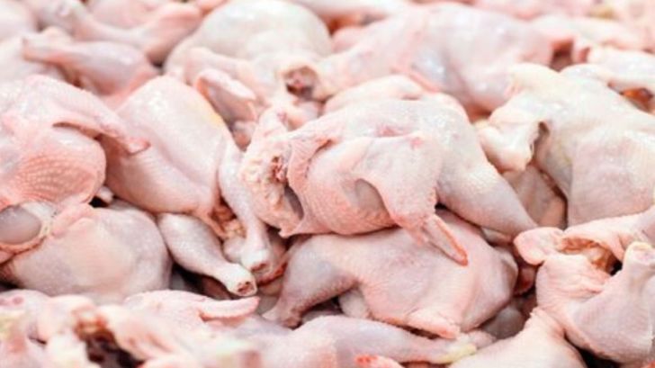 خرید تضمینی مرغ در آذربایجان غربی هر کیلوگرم ۵۰ هزار تومان آغاز شد