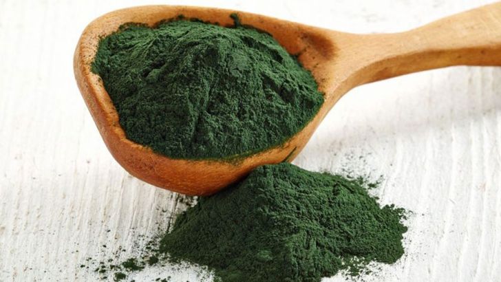 چگونه جلبک ها به پایداری خوراک دام کمک می کنند؟ 