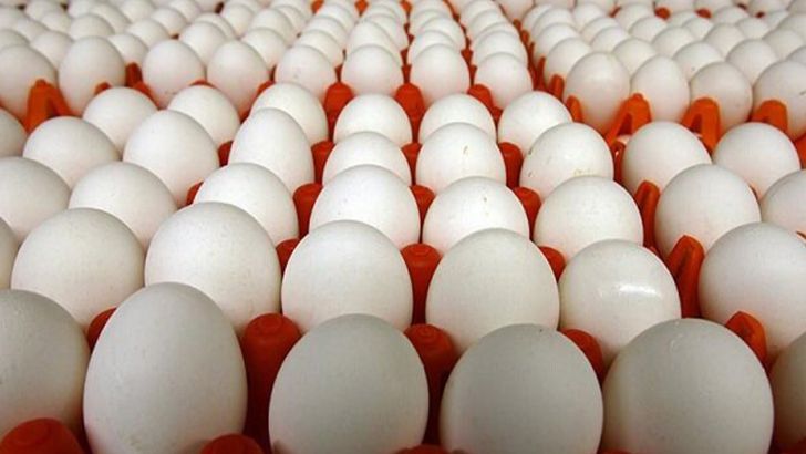  عراق با فشار ترکیه واردات تخم مرغ ایران را ممنوع کرد