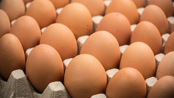 مرغداران در هر کیلو تخم مرغ ۲۳ هزار تومان ضرر می کنند