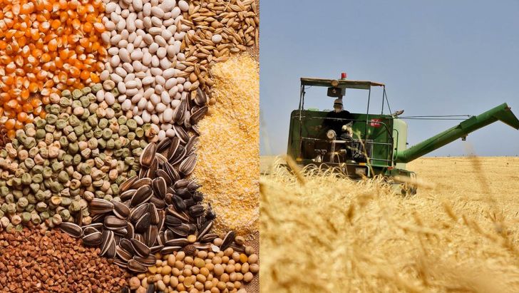 تولید حدود هزار و ۴۰۰ تن محصولات زراعی و دامی در نقطه صفر مرزی ایران و افغانستان