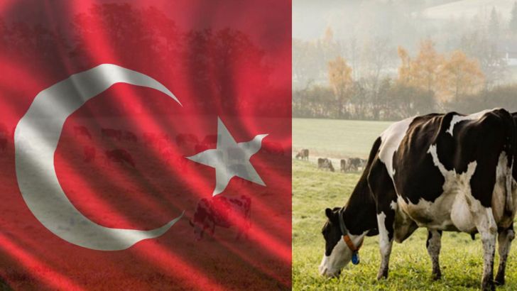 افزایش شدید هزینه‌های کشاورزی و دامداری در ترکیه