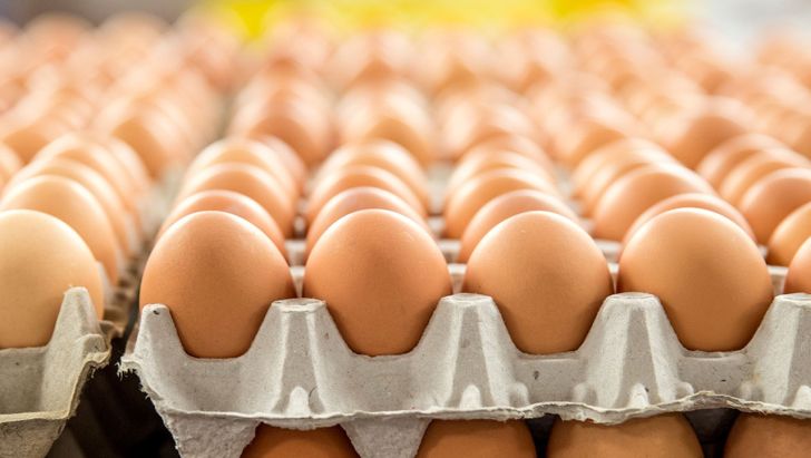 قاچاق تخم مرغ ۱۰۰ درصد کاهش یافت
