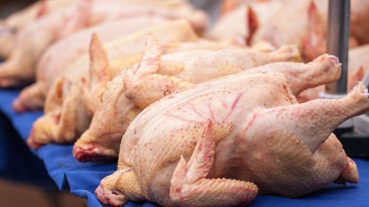 نارضایتی واردکنندگان مرغ منجمد از عملکرد شرکت پشتیبانی امور دام