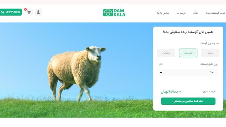 مراحل خرید گوسفند زنده از سایت دامکالا