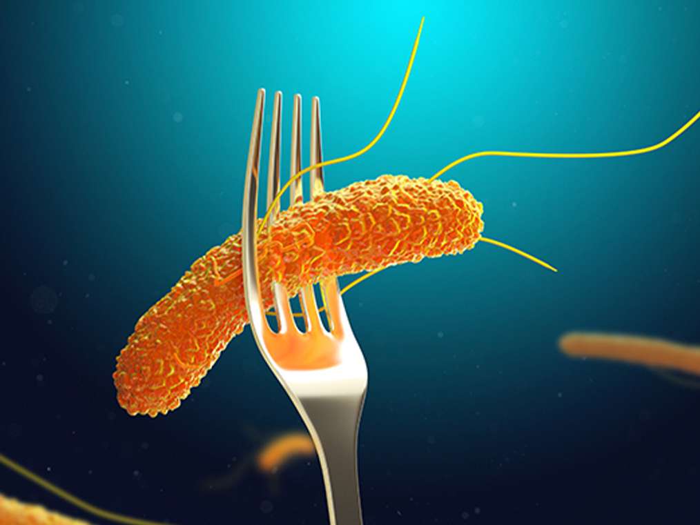 شدت سخت گیری وزارت کشاورزی امریکا برای محصولات مرغداری