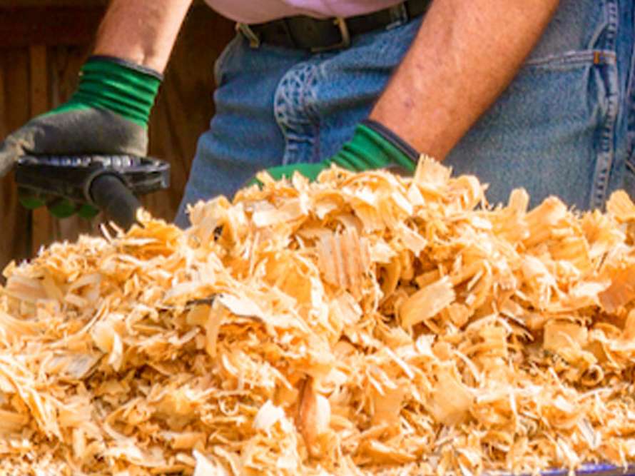 مهار کوکسیدوز در مرغداری ها  