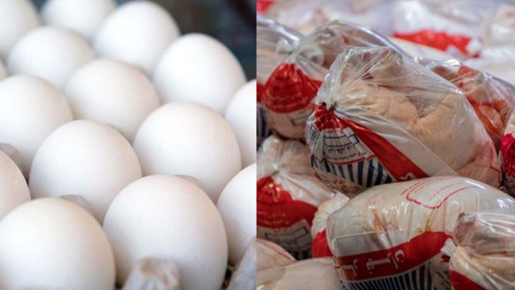 پیش‌بینی تولید بیش از ۳.۷ میلیون تن گوشت مرغ و تخم‌مرغ